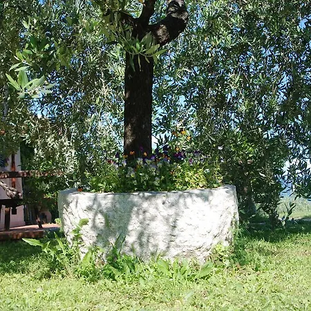 Agriturismo Cà Di Rossi *